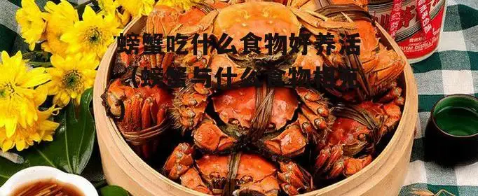大螃蟹吃什么食物怎么养(大闸螃蟹吃什么食物好养活)