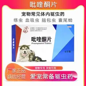 11个月猫咪驱虫用什么药(11个月的小猫能吃成猫粮吗)