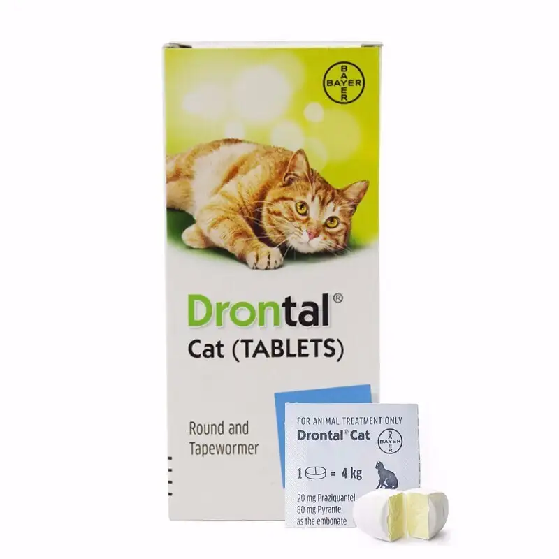 11个月猫咪驱虫用什么药(11个月的小猫能吃成猫粮吗)