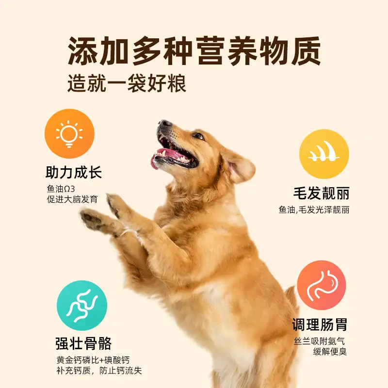 比熊狗狗吃什么狗粮可以去泪痕的简单介绍