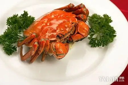 螃蟹过敏吃什么(螃蟹过敏吃什么药最有效)