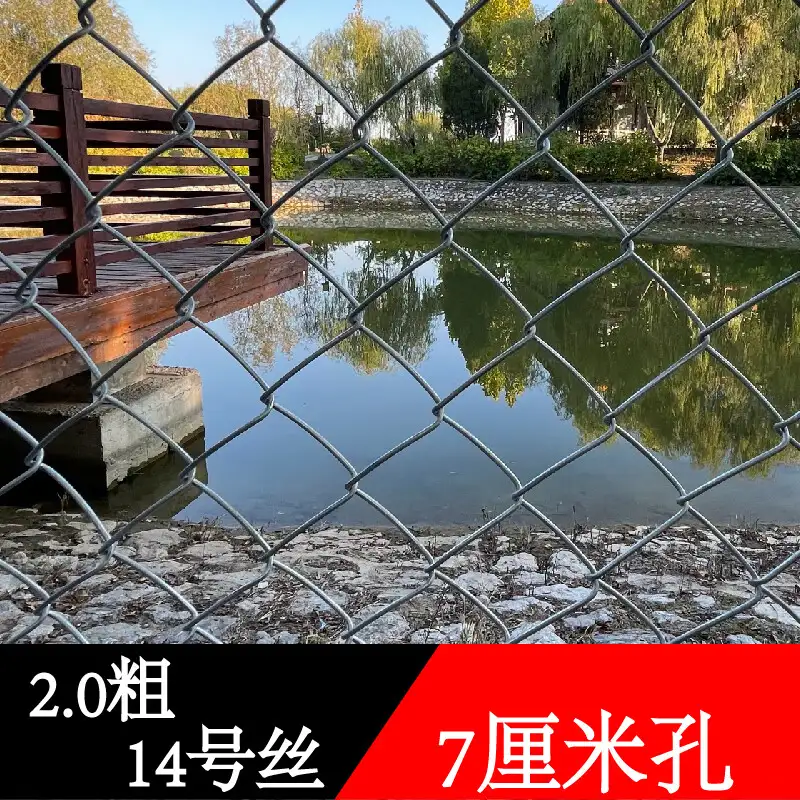 狗狗热吃什么药(狗狗热气吃什么降火)