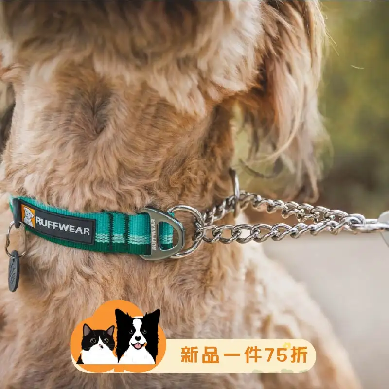 半狗多少钱(各种狗多少钱)