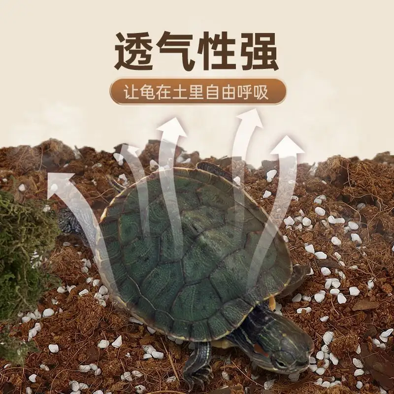 巴西龟是否冬眠(巴西龟的冬眠期是什么时候结束)