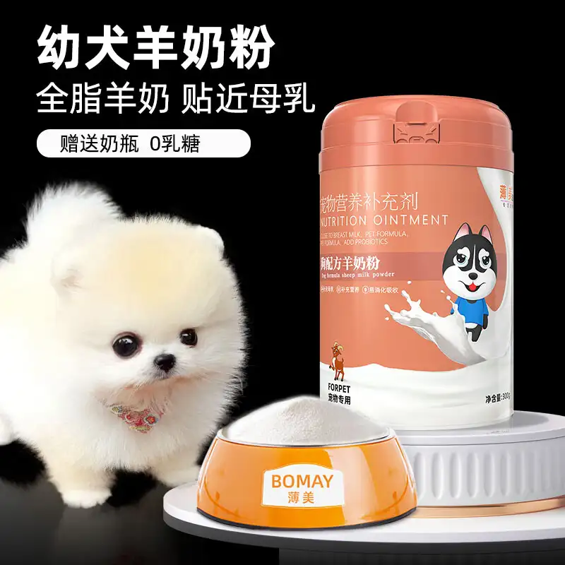 俊介犬价格多少钱一只(俊介犬价格多少钱一只图片)