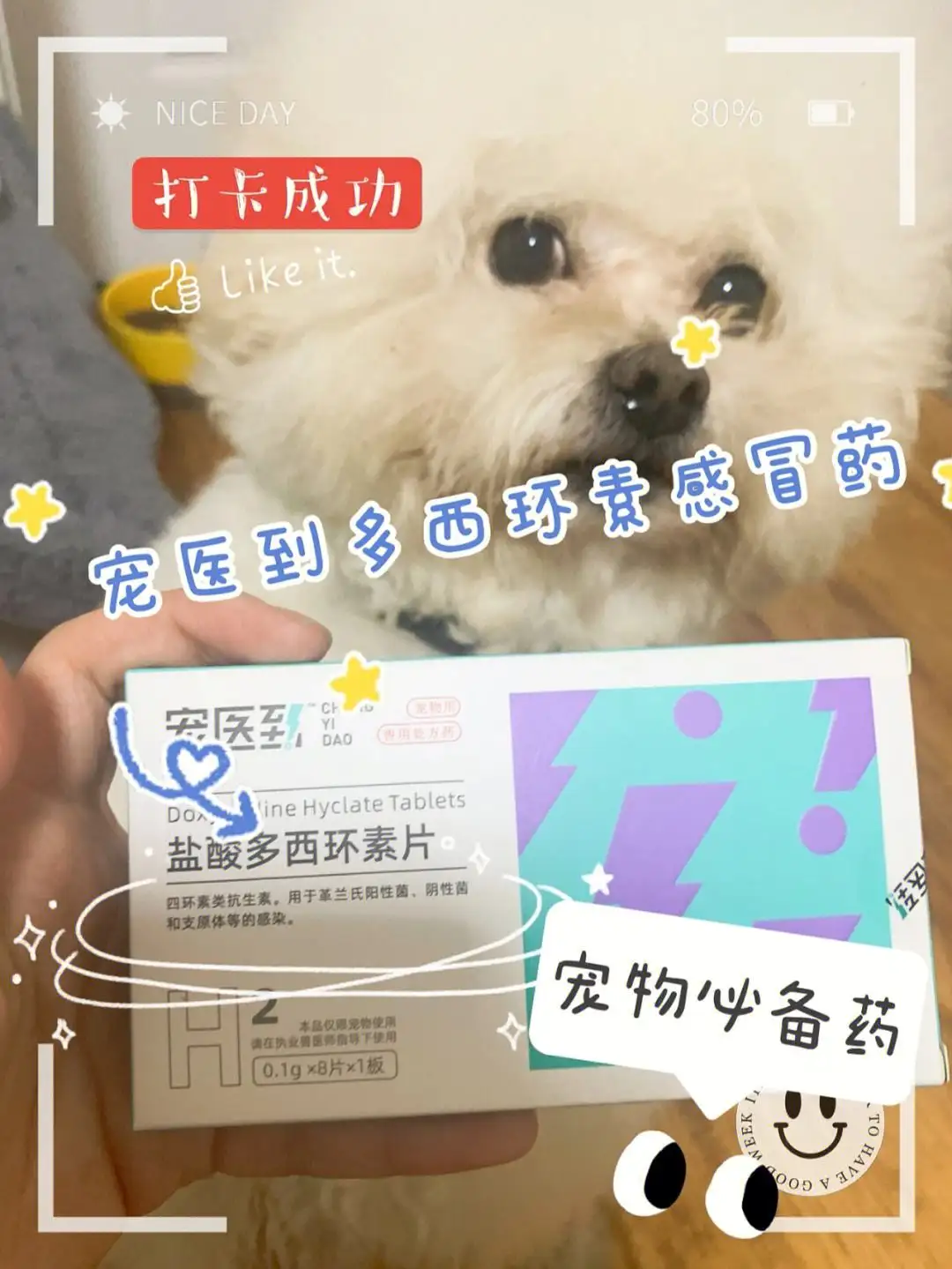 狗能吃什么感冒药(狗吃什么感冒药会立马就死)