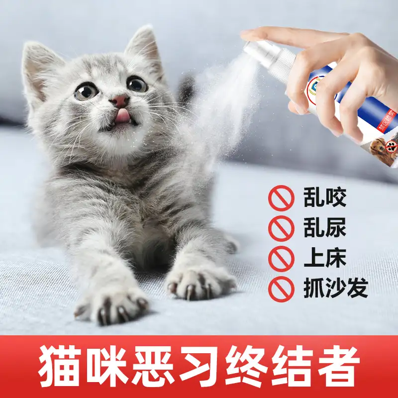 猫最讨厌的味道(狗讨厌什么味道会避开)
