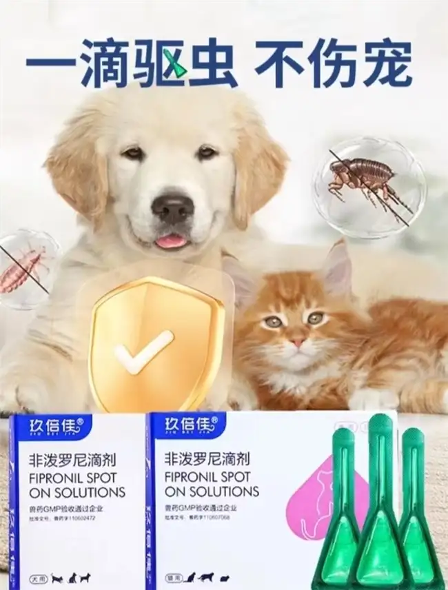 夏天狗狗驱虫(夏天狗狗驱虫有用吗)