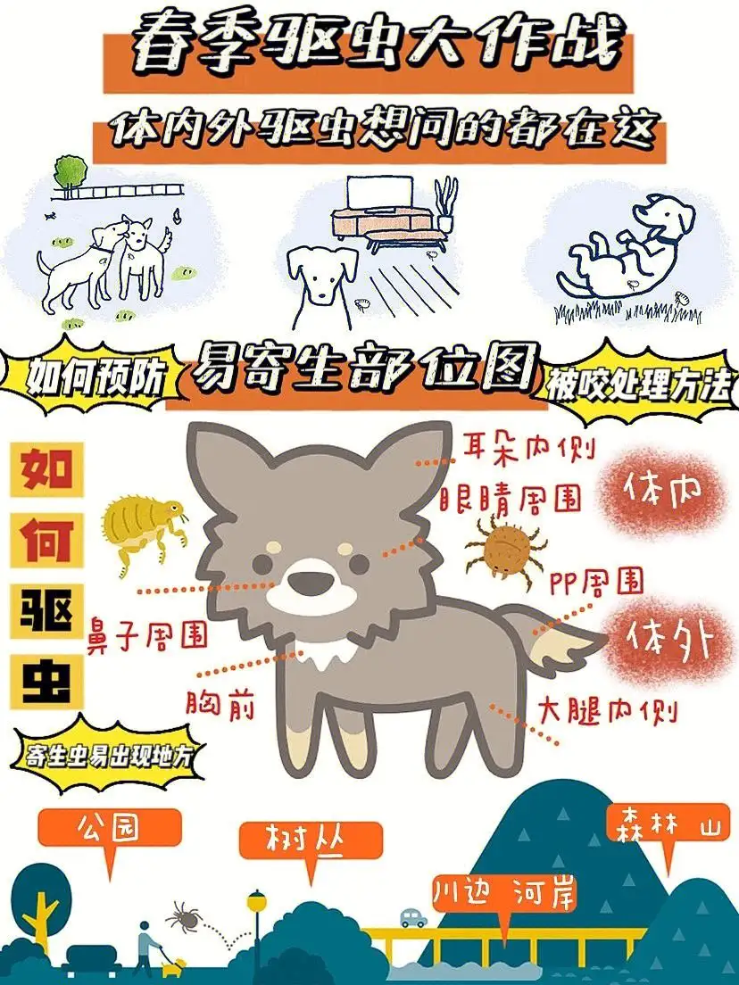 宠物狗还要驱虫吗(宠物狗有必要驱虫吗)