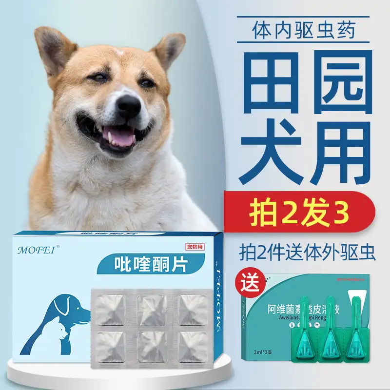 宠物狗还要驱虫吗(宠物狗有必要驱虫吗)