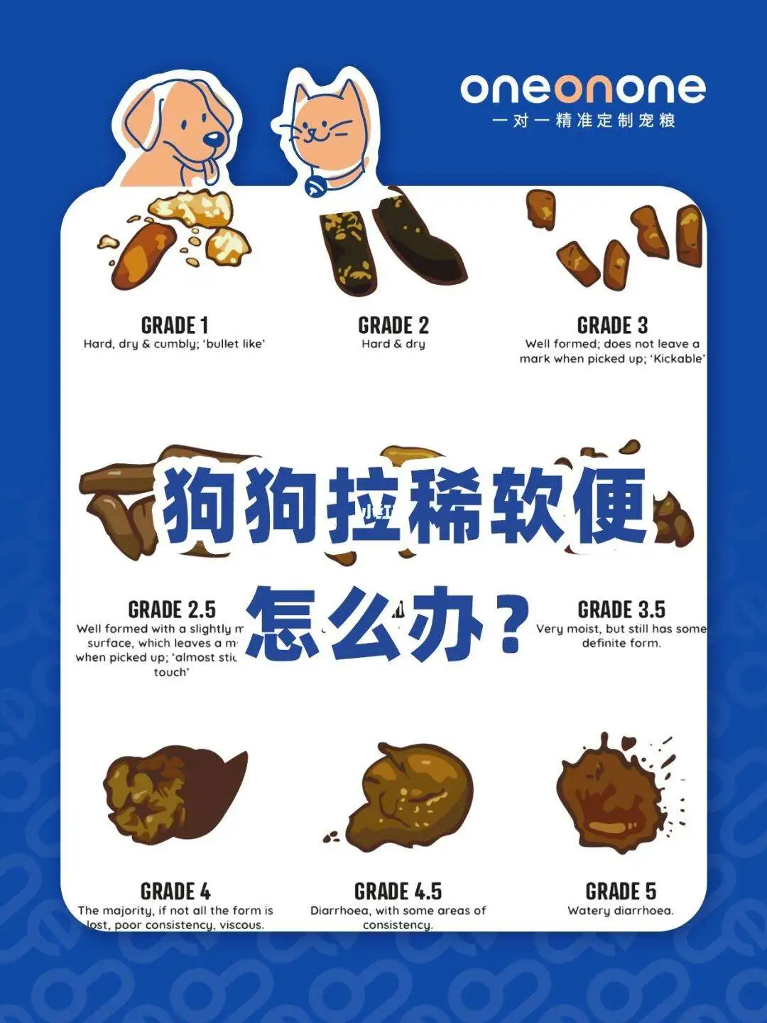 狗狗软便吃什么狗粮(狗狗软便和狗粮有关系吗)