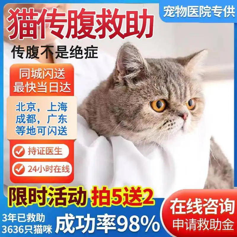 猫传腹猫腹水(猫传腹猫腹水症状)